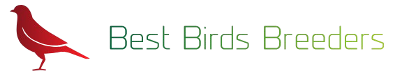 bestbirdbreeders.com